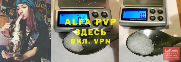 spice Аркадак