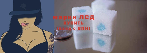 PSILOCYBIN Армянск