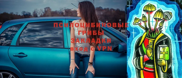 PSILOCYBIN Армянск