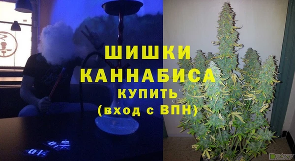 spice Аркадак